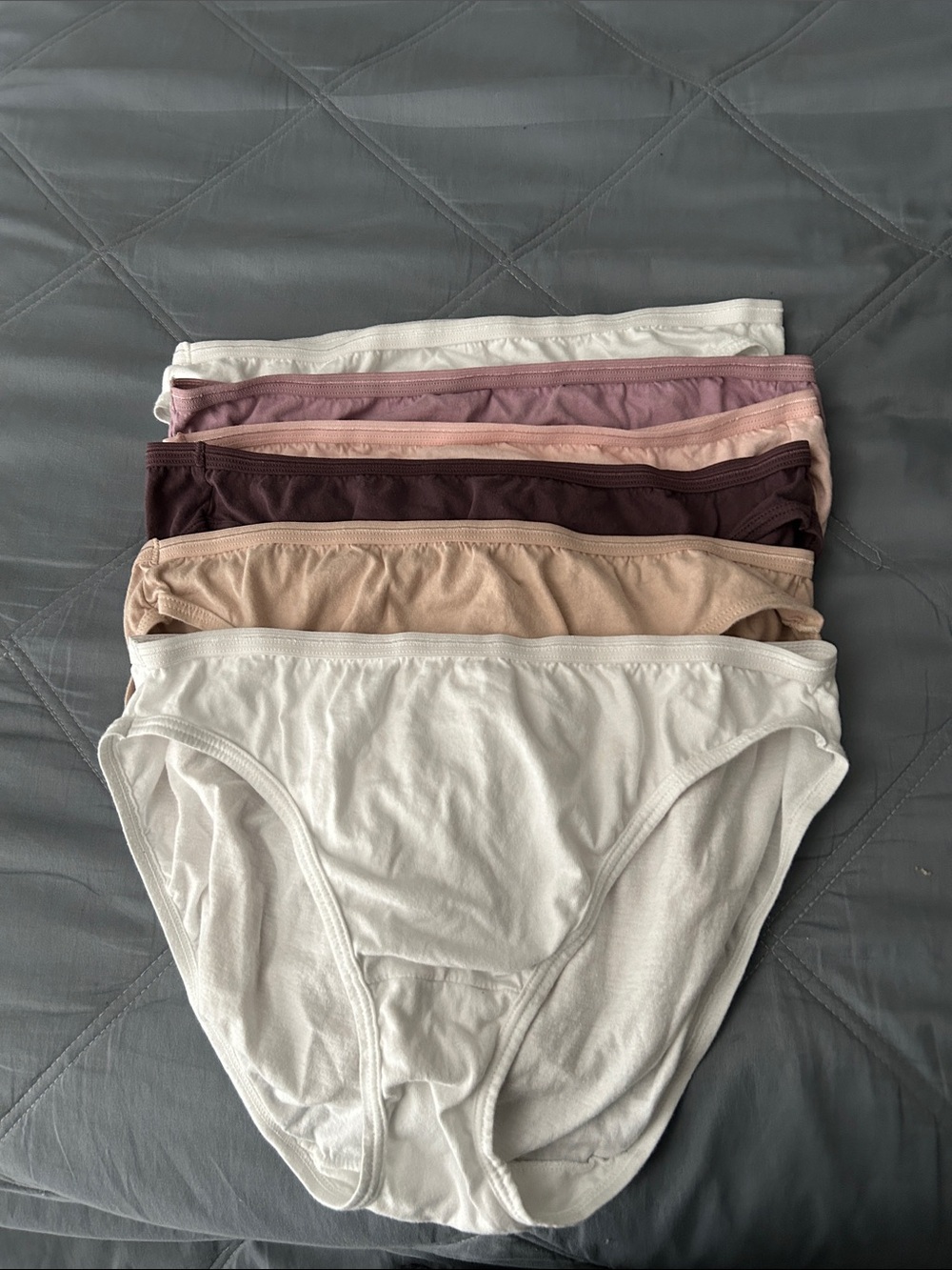 Fruit of the Loom Women's Cotton Bikini Underwear - White, Beige, Mauve, Plum